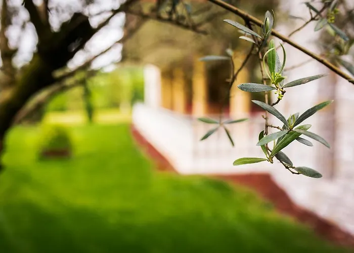 Venko דוברובו